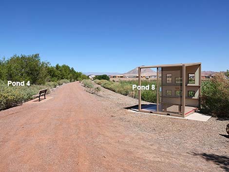 Henderson Bird Viewing Preserve