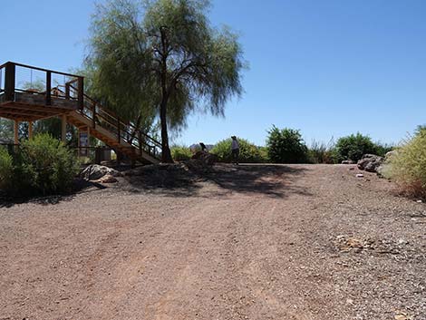 Henderson Bird Viewing Preserve