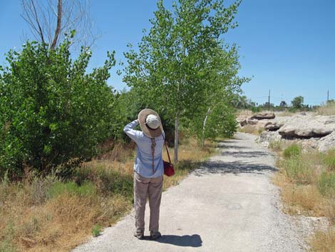 Las Vegas Springs Preserve