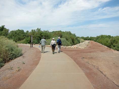 Clark County Wetlands Park