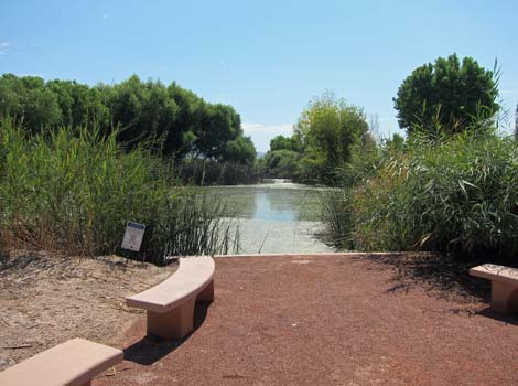 Clark County Wetlands Park