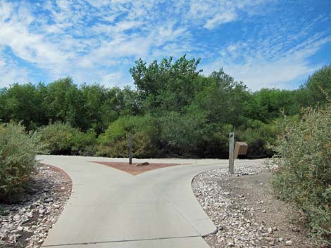 Clark County Wetlands Park