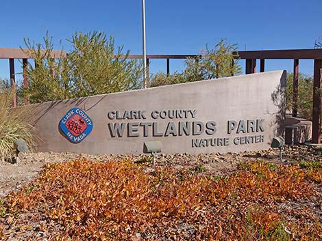 Clark County Wetlands Park