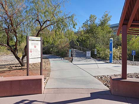 Clark County Wetlands Park