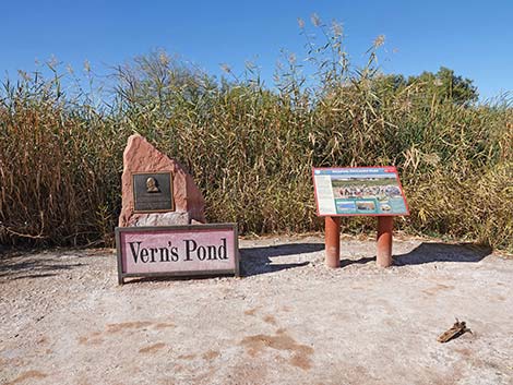 Clark County Wetlands Park