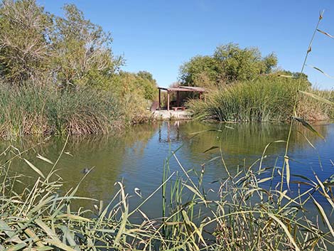 Clark County Wetlands Park