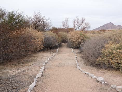 Clark County Wetlands