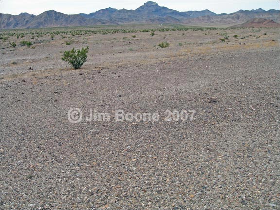 Desert Pavement Fine