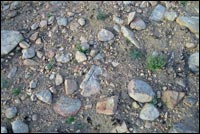 Desert Soil Stony 2