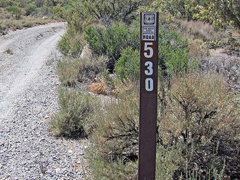 Sign Posts