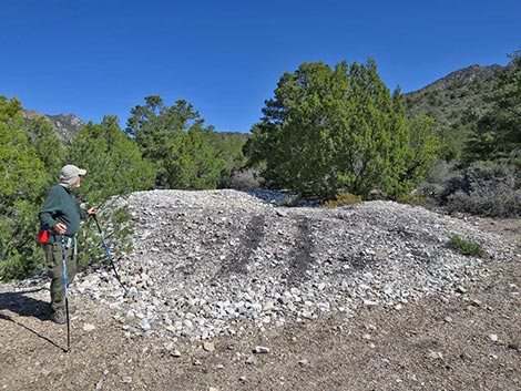 Agave Roasting Pit