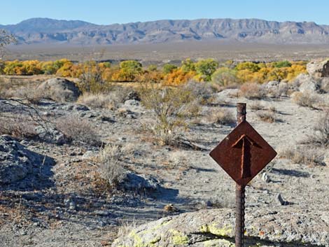 Ash Springs Petroglyph Site