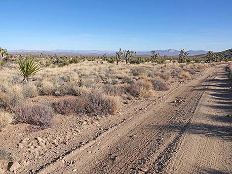 Grasslands Trail