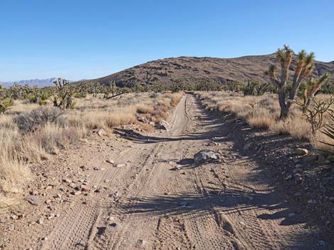 Grasslands Trail