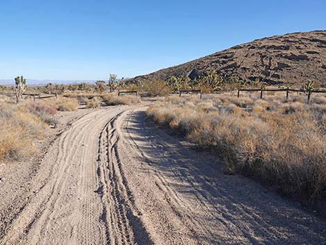 Grasslands Trail