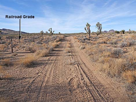 Grasslands Trail