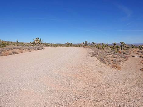 Grasslands Trail