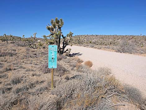 Grasslands Trail