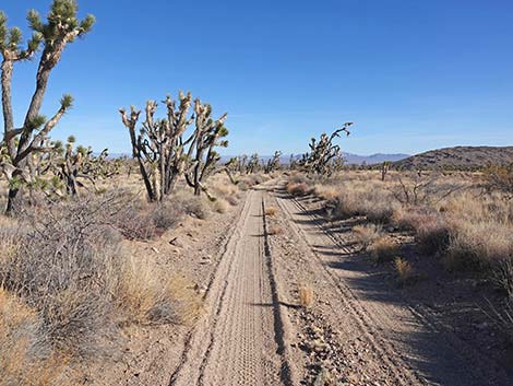 Grasslands Trail