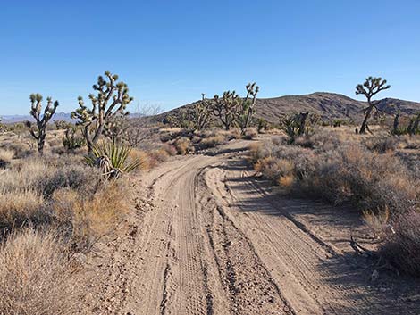 Grasslands Trail