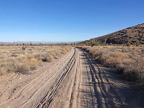 Grasslands Trail