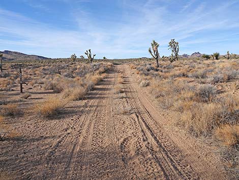 Grasslands Trail