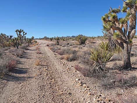 Grasslands Trail