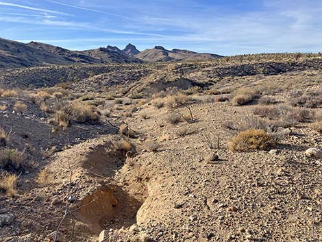 Grasslands Trail