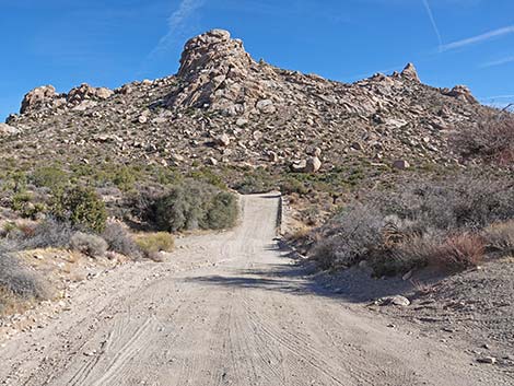 Christmas Tree Pass Road