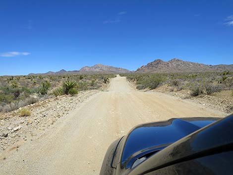 Christmas Tree Pass Road