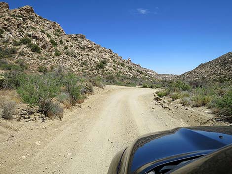 Christmas Tree Pass Road