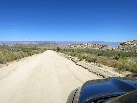 Christmas Tree Pass Road