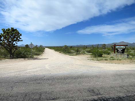 Walking Box Road