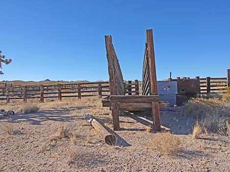 Grasslands Trail