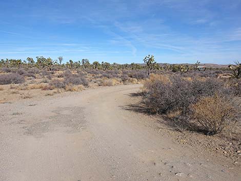 Spirit of Wilderness Trailhead