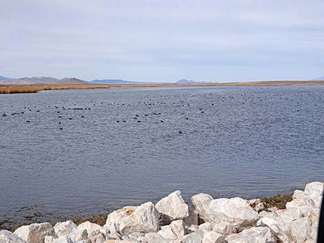 Darcy Reservoir