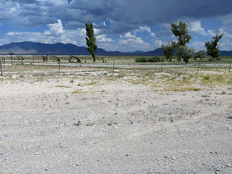 Dave Deacon Campground