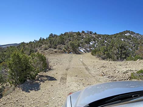 Logan Canyon Campsite