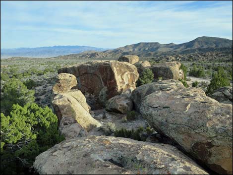 Paiute Rock