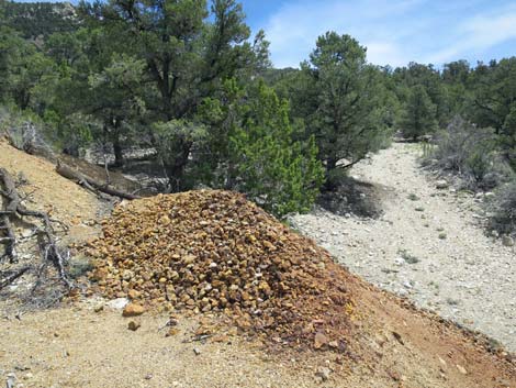 Rosario Mine