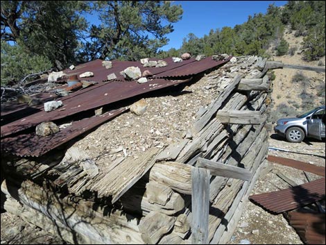 Rosie's Mining Cabin