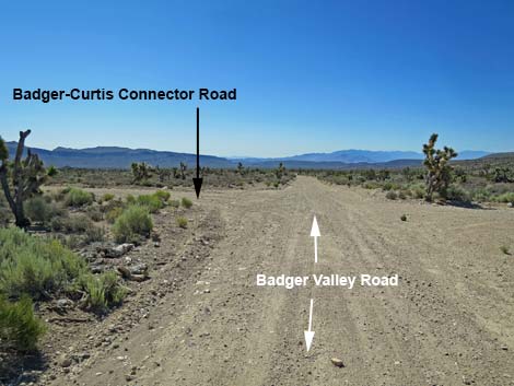 Badger Valley Road