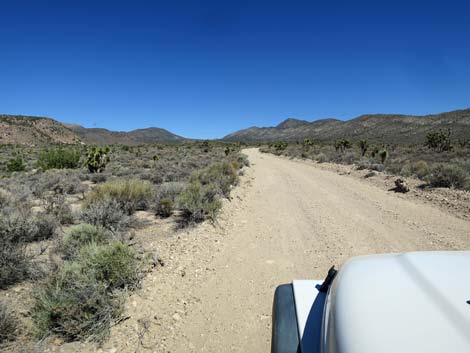 Badger Valley Road