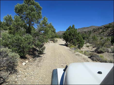 Badger Valley Road