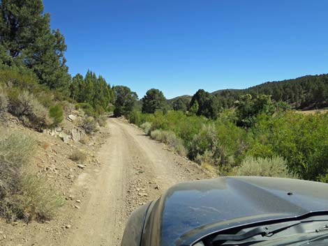 Cherry Creek Road