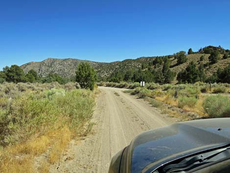 Cherry Creek Road