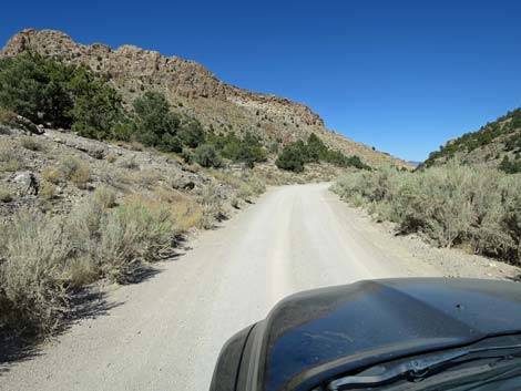 Cherry Creek Road