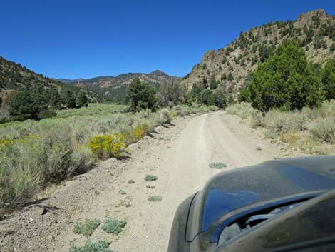 Cherry Creek Road