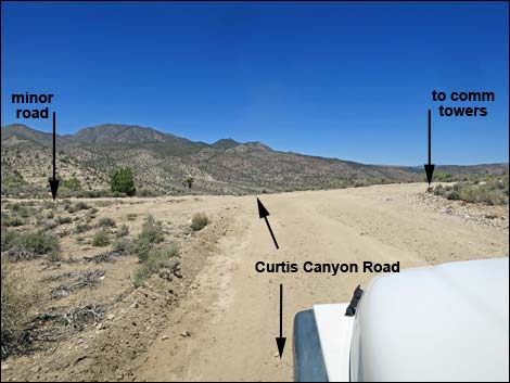 Curtis Canyon Road