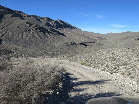 Curtis Canyon Road